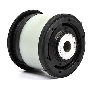 Bushing, axle beam (BSG 30-700-165)