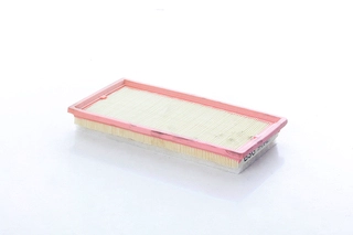Air Filter (BSG 25-135-023)
