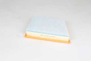 Air Filter (BSG 15-135-025)