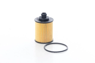 Oil Filter (BSG 65-140-023)