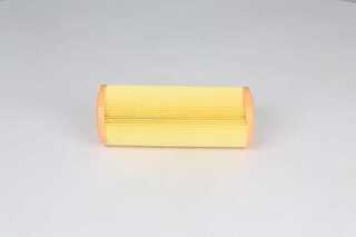 Air Filter (BSG 25-135-004)