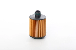 Oil Filter (BSG 70-140-004)