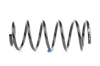 Suspension Spring (BSG 60-305-001)