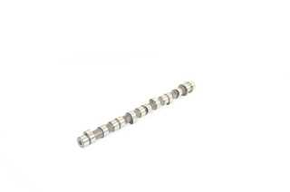 Camshaft (BSG 40-108-001)