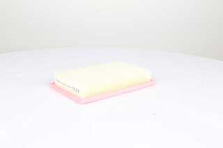 Air Filter (BSG 60-135-031)