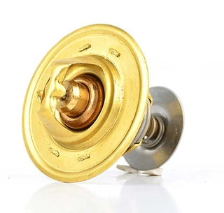 Thermostat, coolant (BSG 30-125-008)