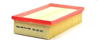 Air Filter (BSG 30-135-021)