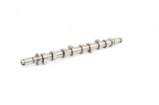 Camshaft (BSG 75-108-007)
