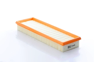 Air Filter (BSG 75-135-015)