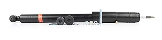 Shock Absorber (BSG 60-300-041)