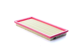 Air Filter (BSG 25-135-022)