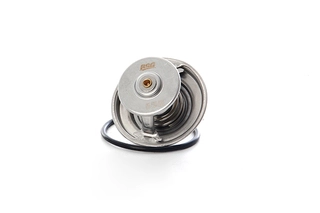 Thermostat, coolant (BSG 60-125-002)
