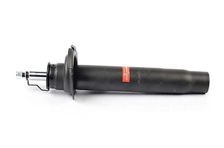 Shock Absorber (BSG 15-300-031)