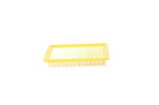 Air Filter (BSG 40-135-005)
