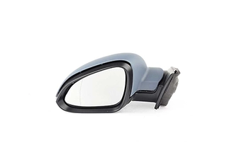 Exterior Mirror (BSG 65-900-065)