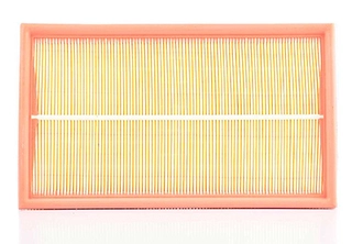 Air Filter (BSG 60-135-010)