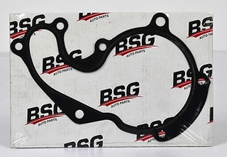 Gasket, water pump (BSG 30-116-017)