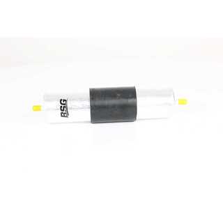 Fuel Filter (BSG 15-130-006)