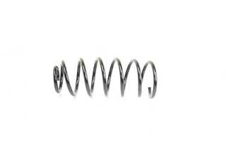 Suspension Spring (BSG 90-305-010)