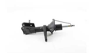 Shock Absorber (BSG 15-300-049)