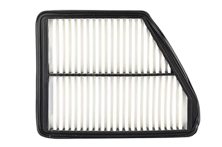 Air Filter (BSG 40-135-021)