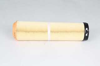 Air Filter (BSG 65-135-035)
