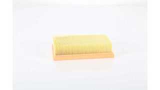 Air Filter (BSG 75-135-022)