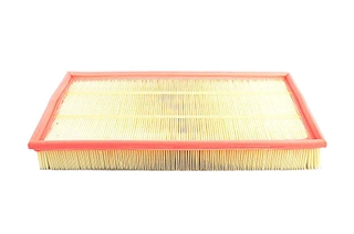 Air Filter (BSG 90-135-001)