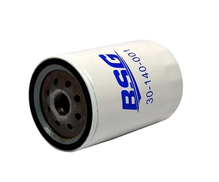 Oil Filter (BSG 30-140-001)