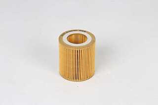 Oil Filter (BSG 15-140-003)