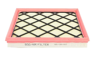 Air Filter (BSG 65-135-017)