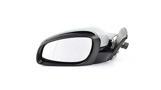 Exterior Mirror (BSG 65-900-061)