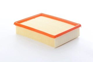 Air Filter (BSG 41-135-002)