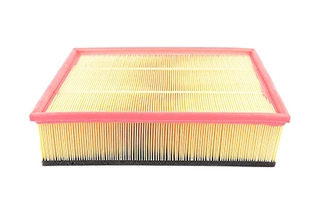 Air Filter (BSG 60-135-001)