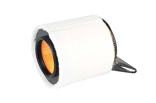Air Filter (BSG 15-135-010)
