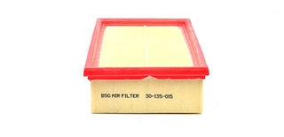 Air Filter (BSG 30-135-015)