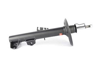 Shock Absorber (BSG 15-300-020)