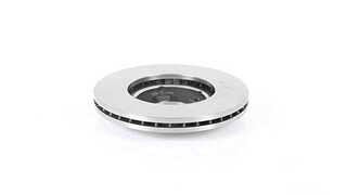 Brake Disc (BSG 85-210-018)