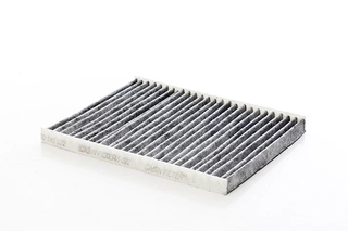 Filter, cabin air (BSG 30-145-022)