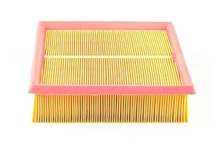 Air Filter (BSG 65-135-014)