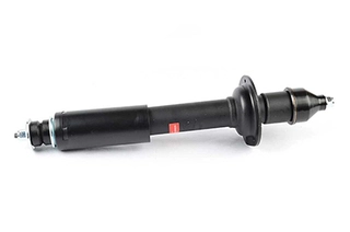 Shock Absorber (BSG 60-300-053)
