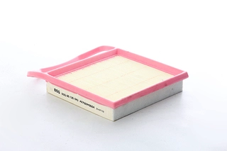Air Filter (BSG 60-135-043)