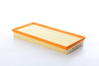 Air Filter (BSG 60-135-046)
