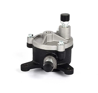 Vacuum Pump, braking system (BSG 30-235-001)