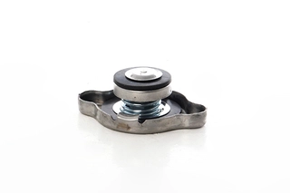 Cap, coolant tank (BSG 40-551-001)