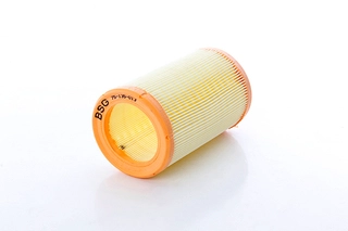 Air Filter (BSG 75-135-013)