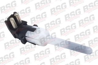 Sensor, coolant level (BSG 60-840-016)