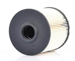 Fuel Filter (BSG 60-130-006)