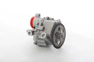 Oil Pump (BSG 30-101-004)