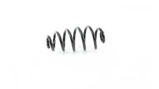Suspension Spring (BSG 90-305-007)